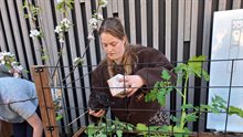 Jongeren bezig in de tuin